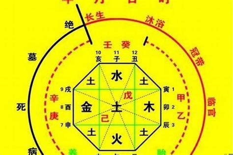 如何算八字|生辰八字算命、五行喜用神查询（免费测算）